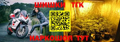 стаф Будённовск