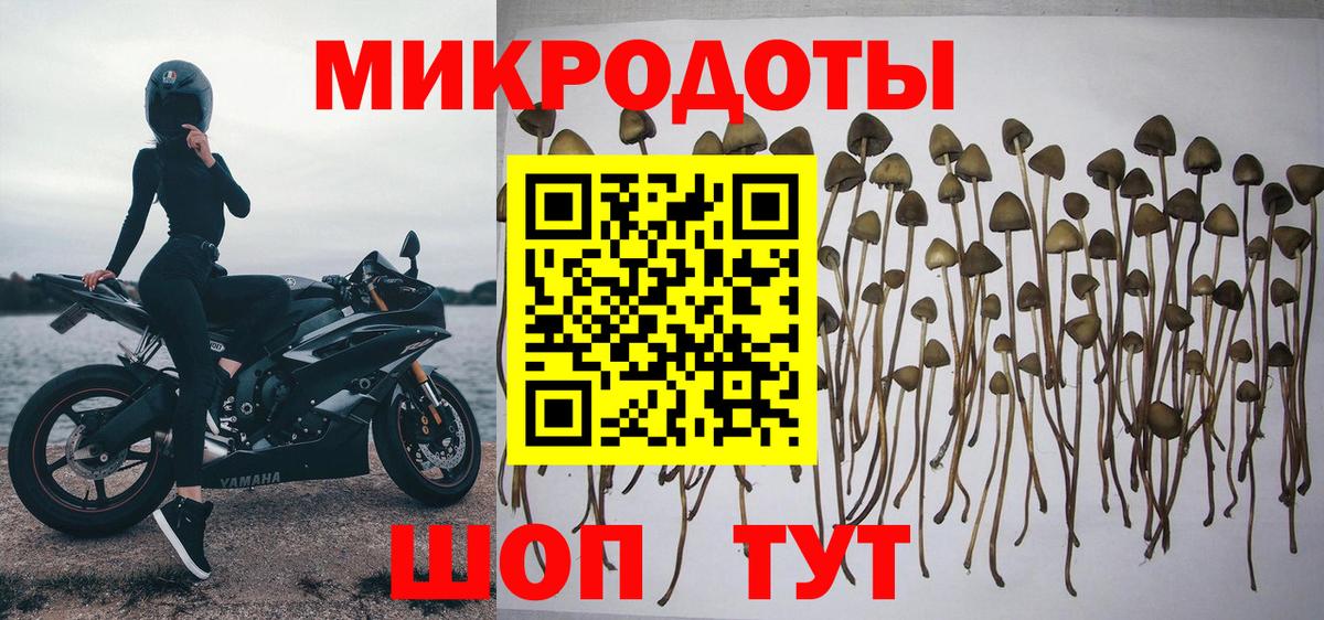 Галлюциногенные грибы Psilocybe  Вход с VPN  Свободный  Галлюциногенные грибы Cubensis 