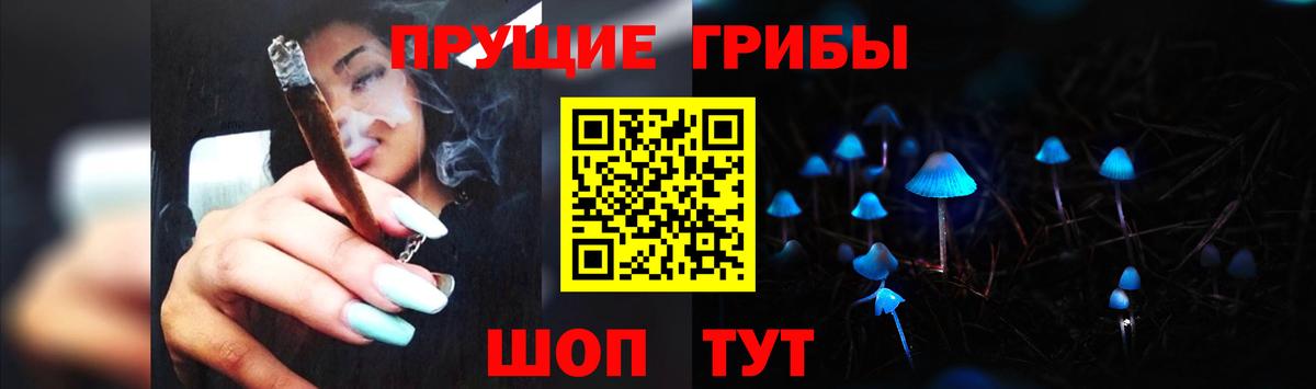 Псилоцибиновые грибы GOLDEN TEACHER Свободный